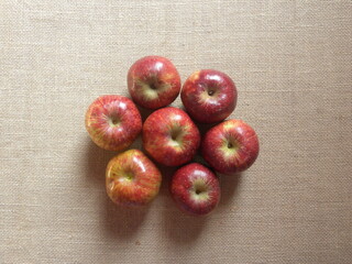 Wall Mural - Red color whole ripe Shimla apples