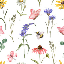 Watercolor Wild Flowers Seamless Pattern. Hand Painted Meadow Flowers On White Background. Floral Wallpapers With Butterflies And Bee. Summer Field Print