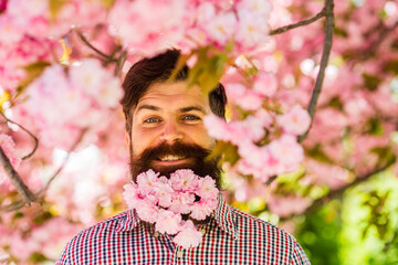 April events. Natural beauty surrounds me. Handsome bearded man outdoors. Happy easter. Hipster in cherry bloom. Man in sakura blossom. Pink tender bloom. Weekend in garden concept. Walk in park