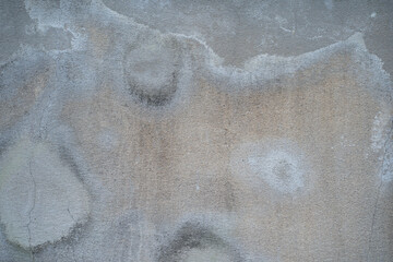 Old nature gray cement wall textures for background.