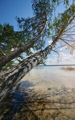 Sticker - Lake beach on sunny day