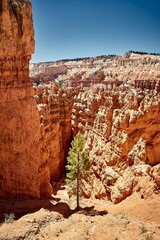 Poster - Beautiful scenery of a canyon landscape in Bryce Canyon National Park, Utah, USA