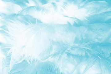 Beautiful blue turquoise vintage color trends feather pattern texture pastel background