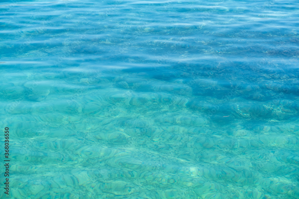 małe rybki morze adriatyckie Chorwacja - obrazy, fototapety, plakaty 