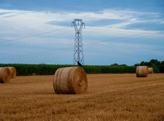 The field after the harvest, a visible bale of straw, a sitting bird and an electric pylon