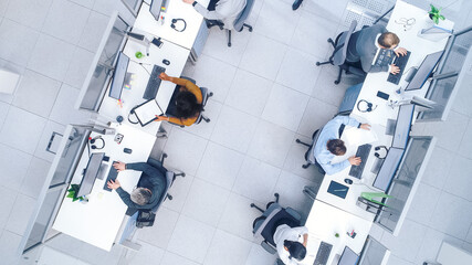 Poster - Top Down Shot of Big Busy Corporate Office with Tow Rows off Businessmen and Businesswomen Working on Desktop Computers. Bright Open Space Office with Businesspeople and Salespeople