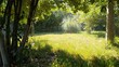 © oraziopuccio - morning in the park