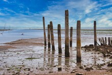 Closeup Shot Of Old Pier Pilings In The Water Under A Blue Sky