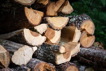 Sticker - Stacks of firewood in a natural environment