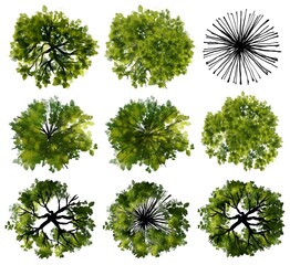 Wall Mural - set of watercolor tree top view for landscape plan and architecture layout