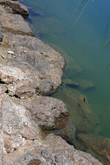 Wall Mural - High angle view of the rocks at the water edge of the fishing harbor in Santa Barbara with reflecting water