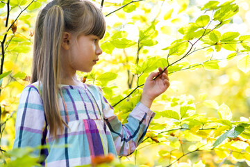 Wall Mural - Portrait of happy pretty child girl having fun in autumn forest. Positive female kid enjoying warm day in fall park.