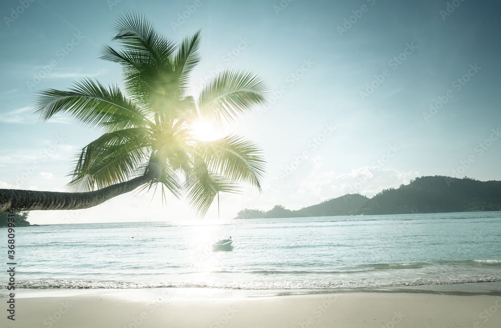 sunset on the beach, Mahe island, Seychelles - obrazy, fototapety, plakaty 