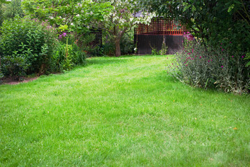 Wall Mural - Summer house in the beautiful backyard green garden landscape and fresh, green lawn background with a lot pf space.