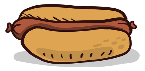 Wall Mural - Hot dog, illustration, vector on white background