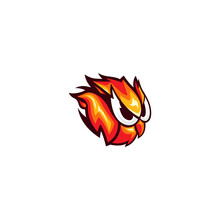 Flame Angry Bird With Variant Color Available