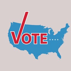 Wall Mural - usa vote label