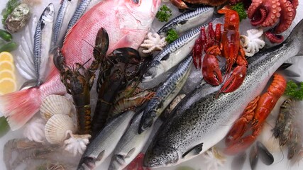 Wall Mural - Variety of fresh seafood on ice. Fresh salmon, sea bass, red snapper, mackerel, crab, lobster, shrimp, black mussels, oyster, scallop and octopus on ice with ice smoke clouds.