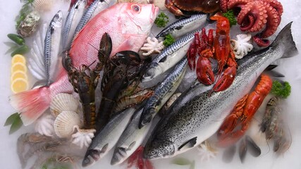 Wall Mural - Variety of fresh seafood on ice. Fresh salmon, sea bass, red snapper, mackerel, crab, lobster, shrimp, black mussels, oyster, scallop and octopus on ice with ice smoke clouds.