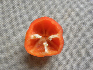 Wall Mural - Cut cross section detail of red color raw Bell pepper