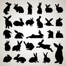 Rabbit Silhouettes