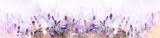 Lavender in flower field wide panoramic view