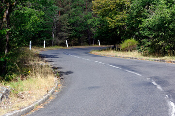 Sticker - D64 country road turn in Fontainebleau forest