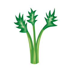 Wall Mural - celery healthy vegetable detailed style icon