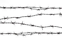 Rusty Barbed Wire Splits On A White Background.