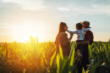 Happy Family In Corn Field. Family Standing In Corn Field An Looking At Sun Rise
