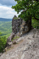 Wall Mural - Volcanic rocks (Vadallo-kovek) in the Pilis mountains