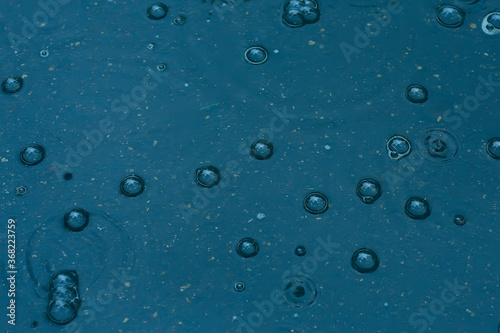 Fotografía blue background puddle of rain / raindrops, circles on a puddle, bubbles in the