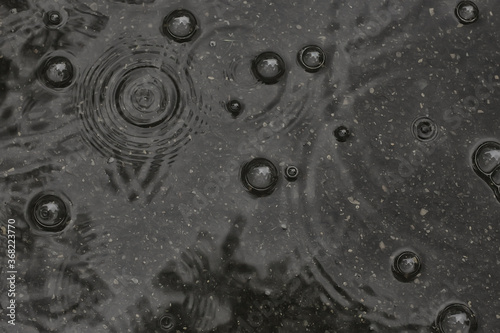 Fotomural background puddle rain / circles and drops in a puddle, texture with bubbles in