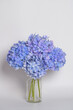© jeonghwan son - There is a purple hydrangea on a white background