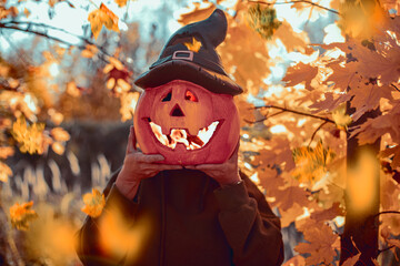 jack o lantern in the garden