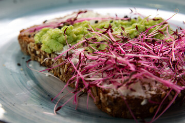 Healthy food, microgreen, sandwich with microgreen, vegetarian food