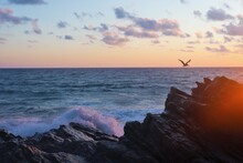 Soft Colored Sunset With Wave Splashing On Rocks And A Pelican Flying By