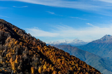 Sochi, Rosa hutor.  The mountain view on a sunny automn day. Contrast colours of landscape, deep blue sky and bright orange autumn leaves