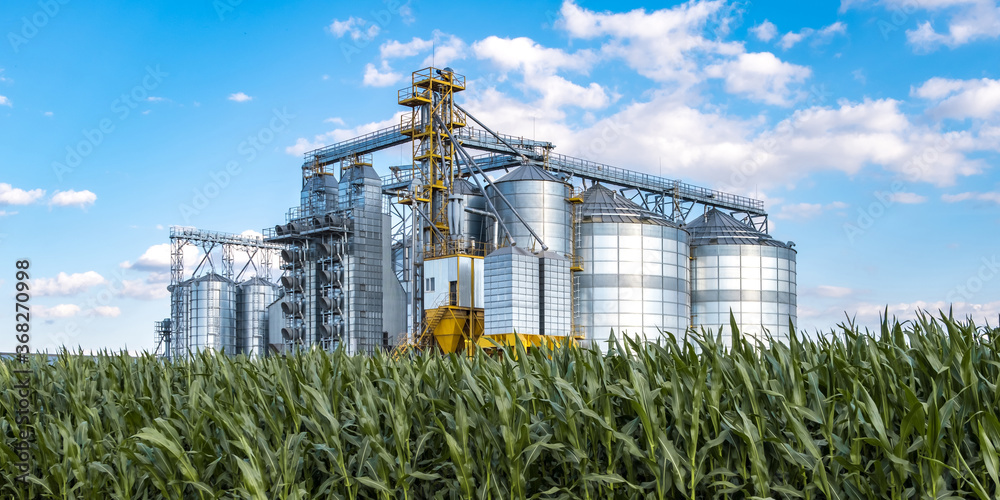 Modern Granary elevator. Silver silos on agro-processing and manufacturing plant for processing drying cleaning and storage of agricultural products, flour, cereals and grain. - obrazy, fototapety, plakaty 