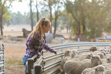 Young Woman On Farm With Sheep