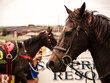 © Joanne O'Keefe/Austockphoto - Close up of race horse and bridle at the race track.