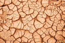 Cracks In Dried Mud