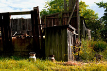 Old, Demolished Barn, Milk Racks And Cages