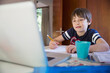 © Tom Merton/Caia Image - Boy e-learning at laptop