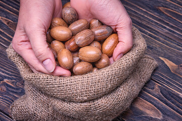 Close up woman hand holds pecan nut on a wooden background