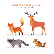 Flat Winter Animal Collection