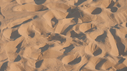 Poster - close up of sand at beach 