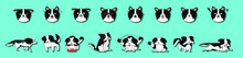 Black And White Cartoon Shaggy Dog