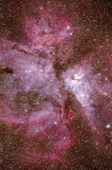 Wall Mural - Eta Carina