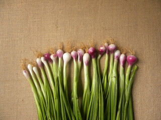 Wall Mural - Red color raw whole fresh Scallion